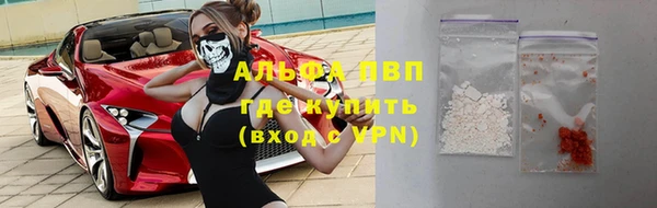 тгк Гусев