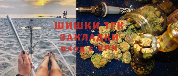 тгк Гусев