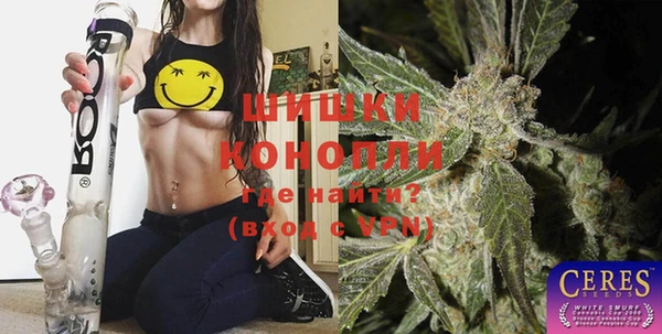 тгк Гусев