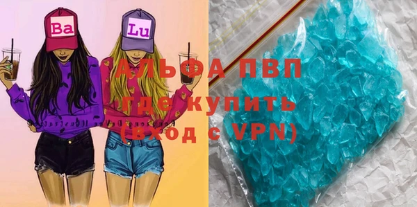 гидра Горняк
