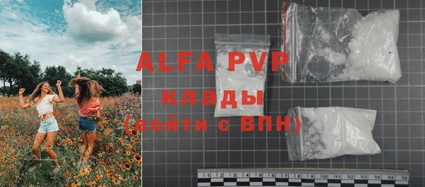 тгк Гусев