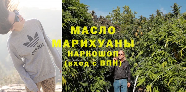 тгк Гусев