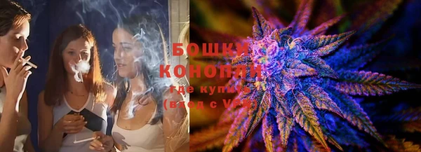 тгк Гусев