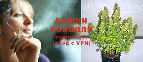 прущие грибы Горнозаводск