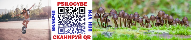 Галлюциногенные грибы Psilocybine cubensis  Липецк 
